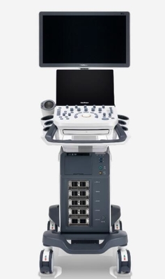 Good price P20 Digital Color Doppler ระบบอัลตราซาวนด์ในตัวแบตเตอรี่ ออนไลน์