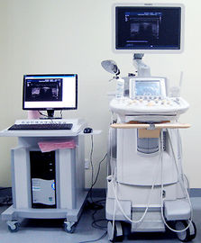 Good price มือถือ Color Doppler Ultrasound System, Doppler Color ความหนาแน่นสูง ออนไลน์